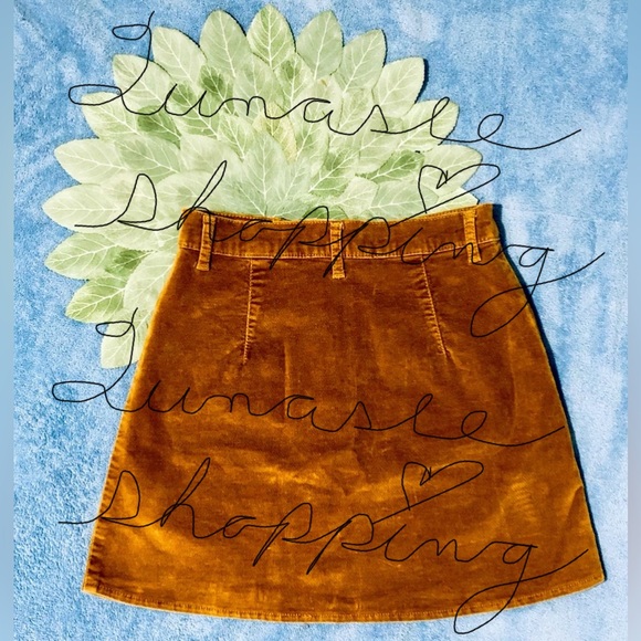 Brandy Melville Skirt; same brand ASO Taylor Swift - Picture 6 of 16